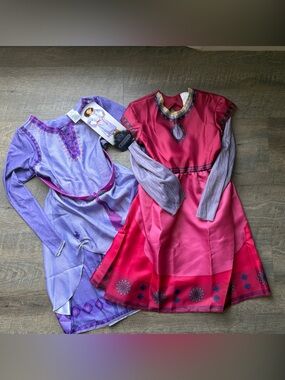 Disney Pink and Purple Princess Costume Dress Set